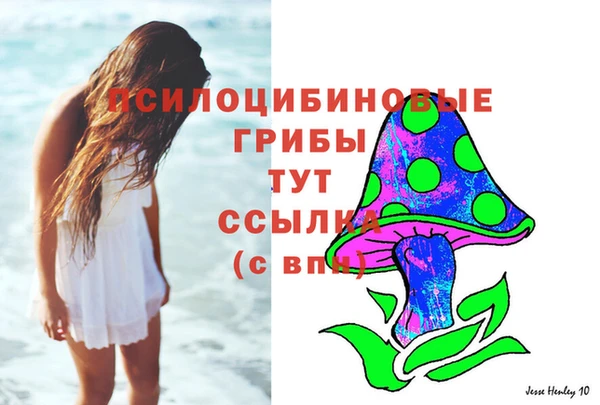 индика Баксан