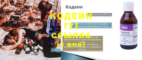 индика Баксан