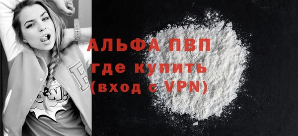 индика Баксан