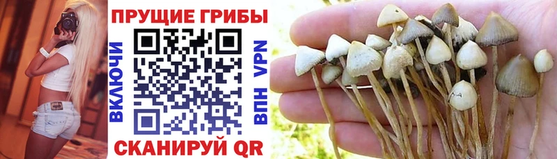 Галлюциногенные грибы прущие грибы Озёры